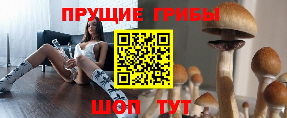 Галлюциногенные грибы GOLDEN TEACHER  Псилоцибиновые грибы Psilocybine cubensis  Вход с VPN  цены   Котовск 
